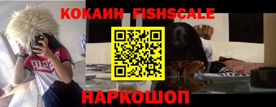 крисы Новодвинск