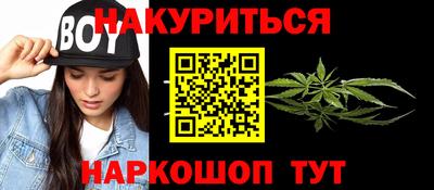 крисы Новодвинск