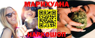 гашик Новокубанск