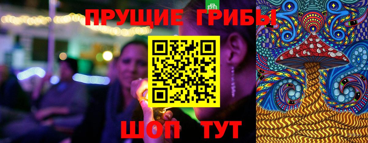 Псилоцибиновые грибы Magic Shrooms Ртищево